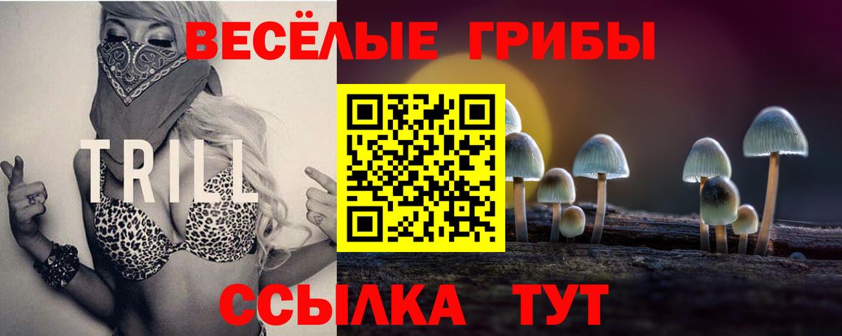 хочу наркоту  Галлюциногенные грибы прущие грибы  Вход с VPN  Отрадное 